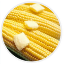 Comidas Típicas de Festa Junin APK