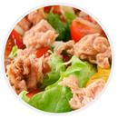 Dieta para Perder Peso Rápido-APK