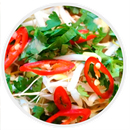 Dieta Vegetariana APK