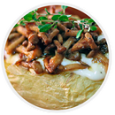 Receitas com Shimeji APK
