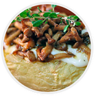 Receitas com Shimeji أيقونة