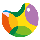 IKC ‘t Palet APK