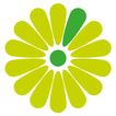 IKC De Kindertuin ikona