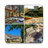 Front Yard Designs APK
