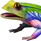 Frog 3D 圖標