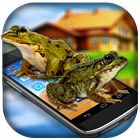 Frog on Phone Prank أيقونة