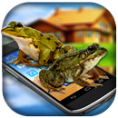 Frog on Phone Prank APK