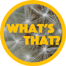 What's that? Guess the picture APK