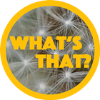 What's that? Guess the picture simgesi