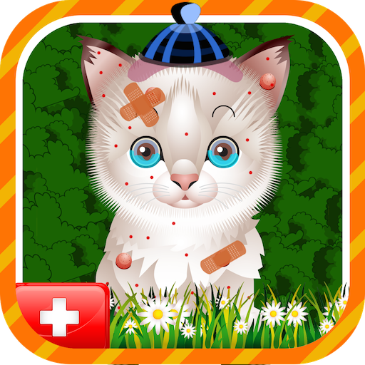 Pet Vet Surgery – Doctor Care