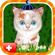 Pet Vet Surgery – Doctor Care