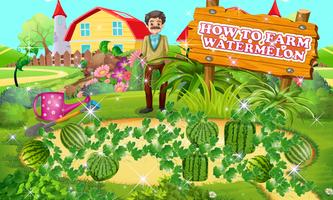 How to Farm Water Melon Affiche