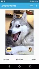Snappy Upload APK download