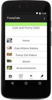 Funny Cats & Kittens Gallery โปสเตอร์