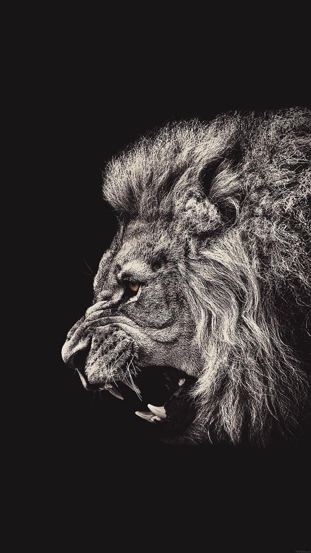 Best Motivational Wallpapers APK pour Android Télécharger Best Motivational Wallpapers APK pour Android Télécharger
