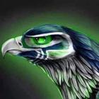 Wallpapers for Seattle Seahawk иконка