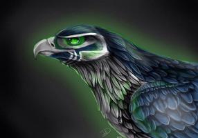 Wallpapers for Seattle Seahawk скриншот 1