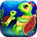 Turtle Mommy New Baby is Born!