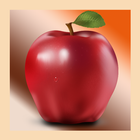 Fruit Game Splash icône