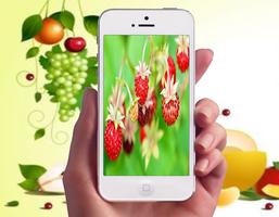 Fruit Wallpapers ภาพหน้าจอ 2