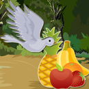 Fruit Picking Bird APK