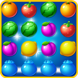 fruit splash candy icon