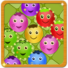 Fruits Break icon