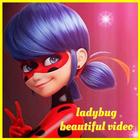 Ladybug Beautiful Video ícone