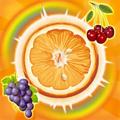 FRUIT JUICE JAM