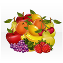 Fruit Jungle APK