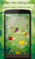 Fruit Jungle Cartaz