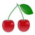 Fruit Picker