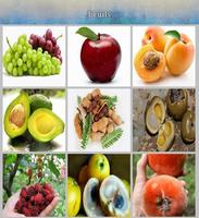 buah-buahan poster