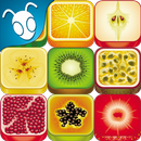 Фрукты Memory Game APK