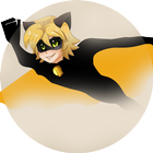 Miraculous Black Cat Adventure icon