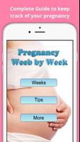 Pregnancy Week by Week Poster