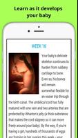 Pregnancy Week by Week captura de pantalla 3