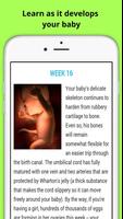 Pregnancy Week by Week تصوير الشاشة 3