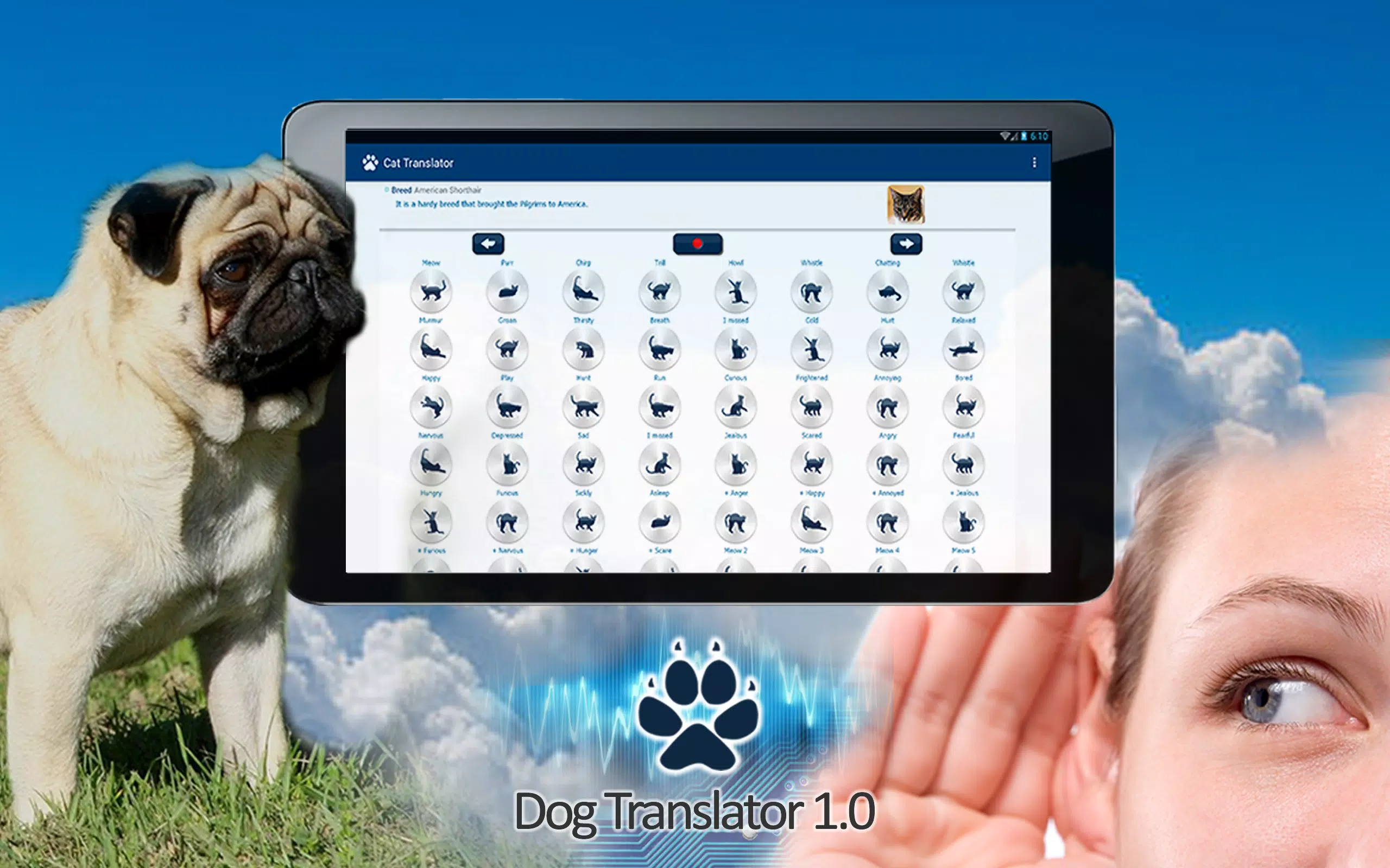 Descarga de APK de Traductor perros humanos para Android