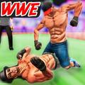 Punch Boxing Superstar Wrestling Champions