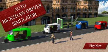 Auto Rickshaw Driver Simulator