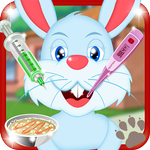 Pets Animal Hospital Doctor APK