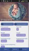 Pregnancy Tracker الملصق