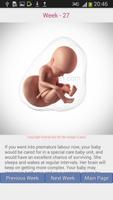 Pregnancy Tracker تصوير الشاشة 2