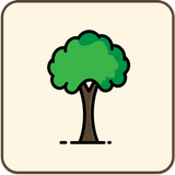 Plant A Tree Today icône