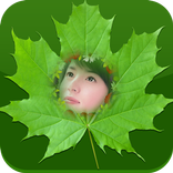 Edit Photo with Natural Frame