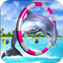 dauphin amusement Jeu APK