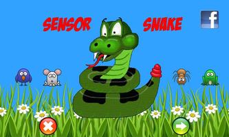 SensorSnake plakat