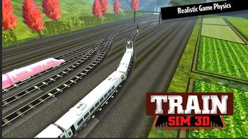 Train Sim 3D Affiche