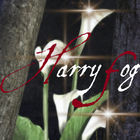 Harry Fog أيقونة